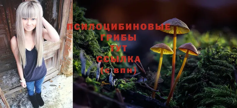 Псилоцибиновые грибы MAGIC MUSHROOMS  Ветлуга 